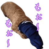 425230723