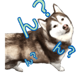 425230725