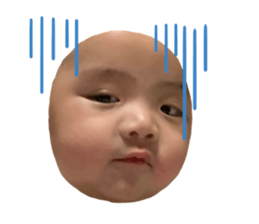 425230885