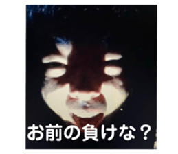 425289118