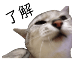425338951