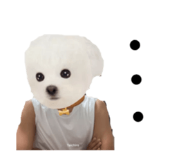 425344706