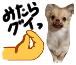 425388352