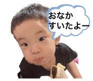 425391356