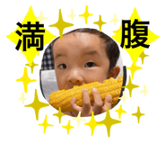 425391376