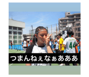 425426042