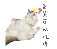 425448858