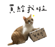 425448862