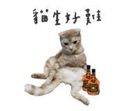 425448869