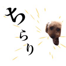 425483055