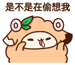 425495571