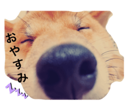 425498799