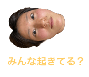 425506568