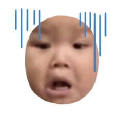 425532404
