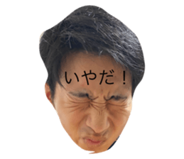 425538831