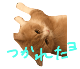 42555308