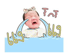 425555628