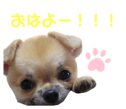 425585593