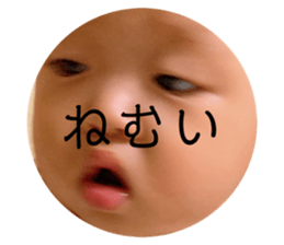 425603669
