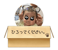 425609619