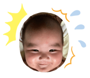 425609626