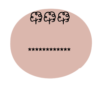 425622551