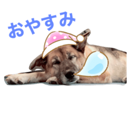 425641559