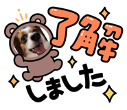 425653297