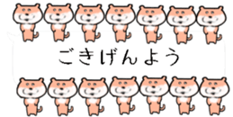 425656994