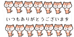 425657003