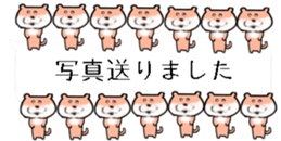 425657010