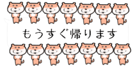 425657016