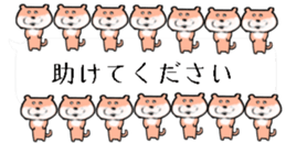 425657022