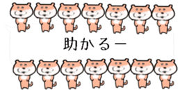 425657023