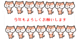 425657026