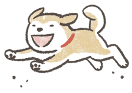4256576