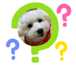 425659270