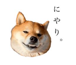425661200