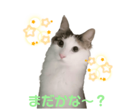 425665250