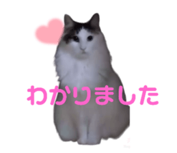 425665255