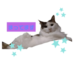425665263
