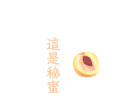 425684521