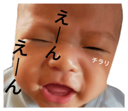 425686944