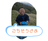 425688543