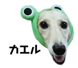 425689900