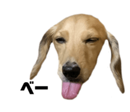 425689925