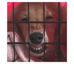 425689928