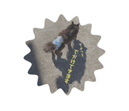 425849532