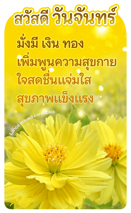 ลายที่ 1