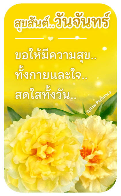 ลายที่ 2